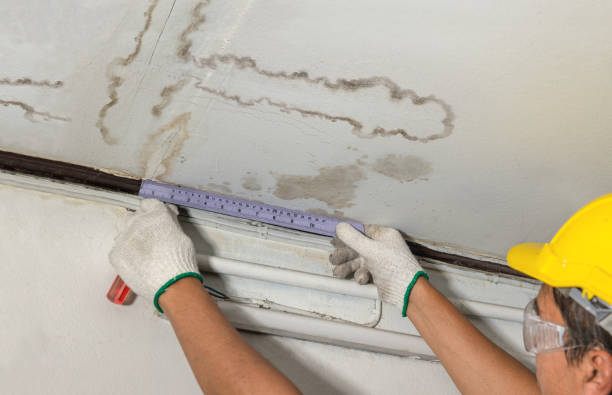 Reliable Sewage Cleanup contractor in Dexter, MI by Water Damage Irwin